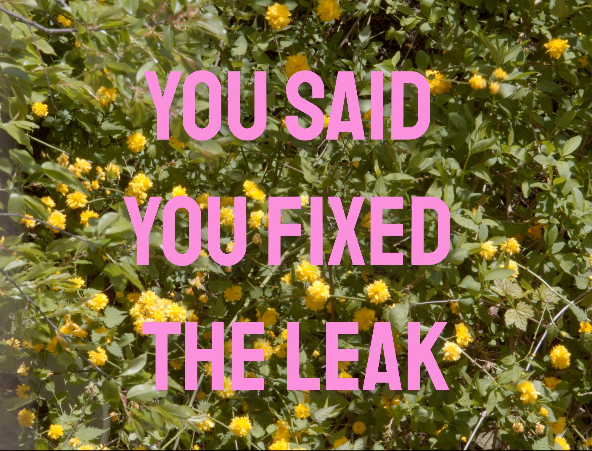 You Said You Fixed The Leak 